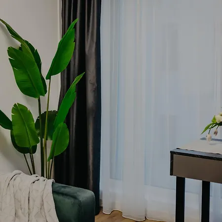 Apartman Lumea Noir - Designer In Temesvár